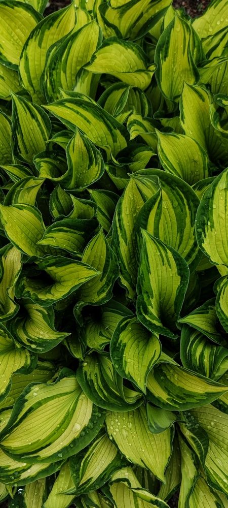 Photograph by Кристина Родина