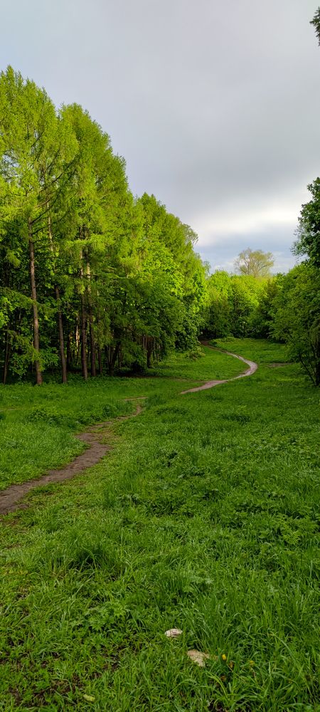 Photograph by Кристина Родина