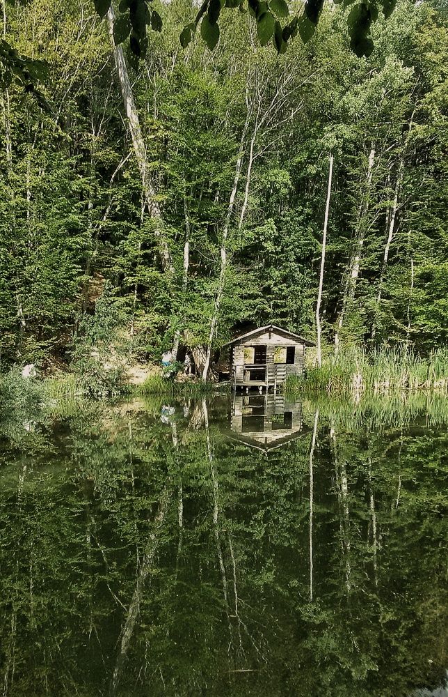 Photograph by Ольга Мартьянова