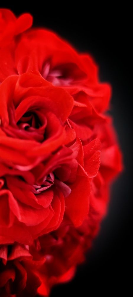 Photograph by Катерина Ермолаева