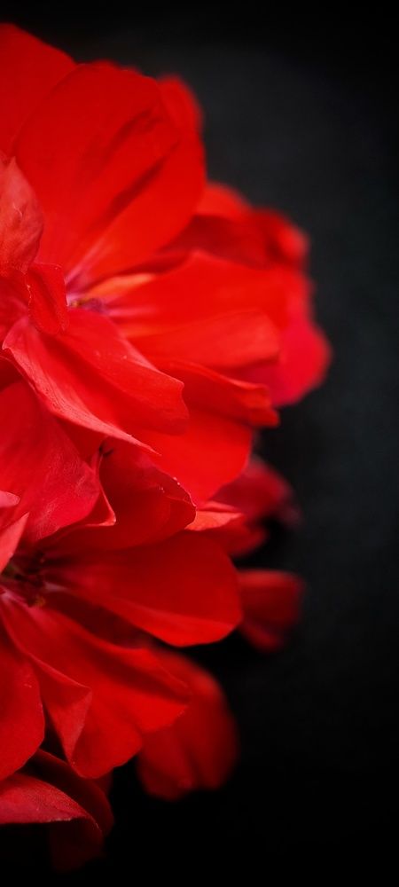 Photograph by Катерина Ермолаева