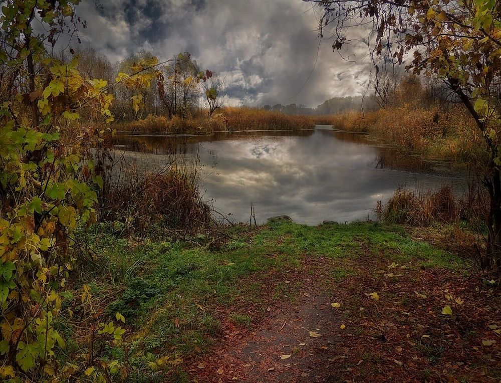 Фотография автора Роман Савоцкий