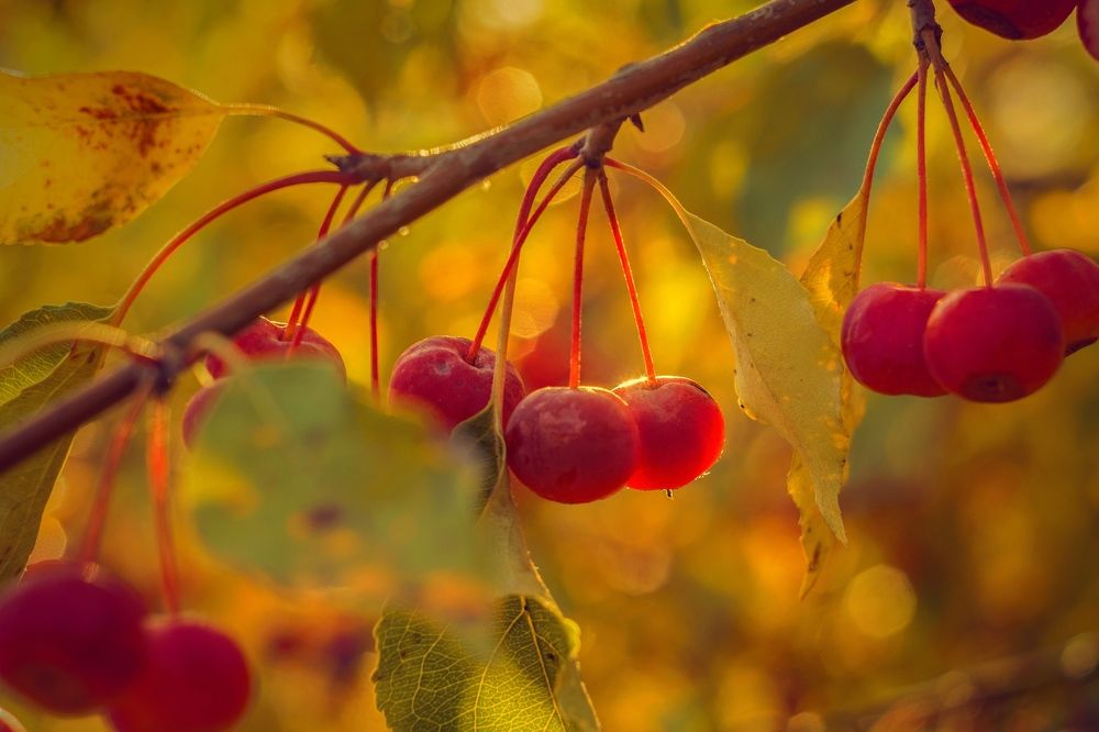 Photograph by Евгений Малинин