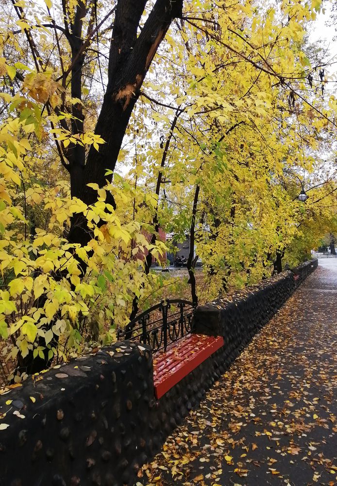 Photograph by Анна Ермилова