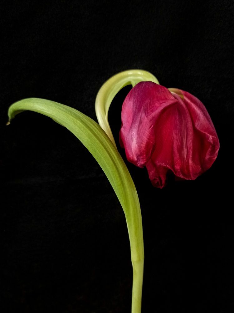 Photograph by Ирина Дегтярева