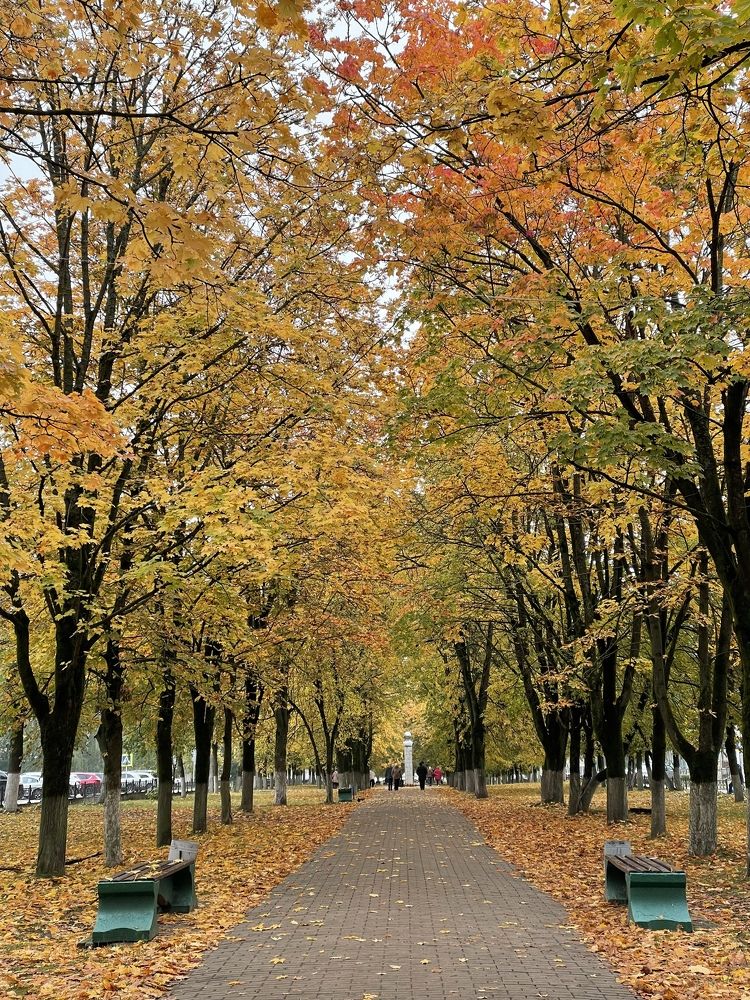 Photograph by Анастасия Родионова