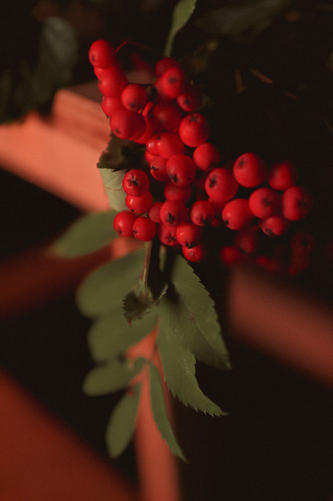 Photograph by Elena Kilina