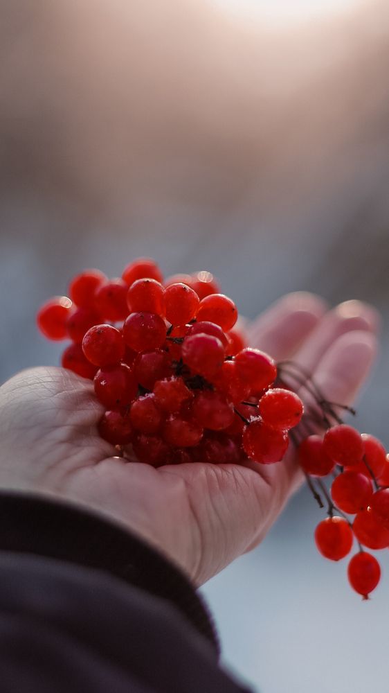 Photograph by Юлия Сайфулина