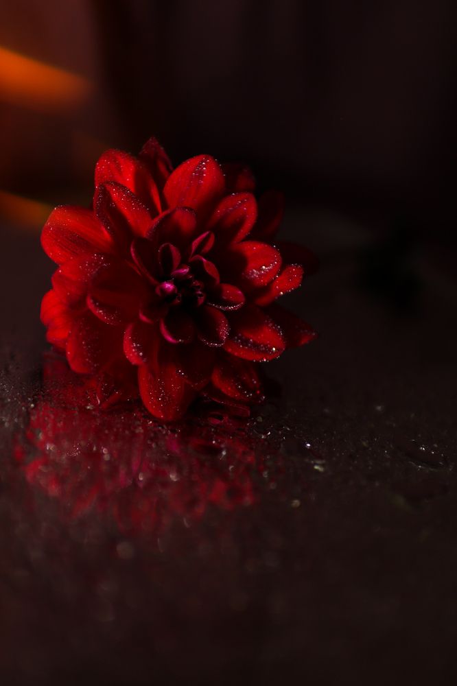 Photograph by Elena Kilina