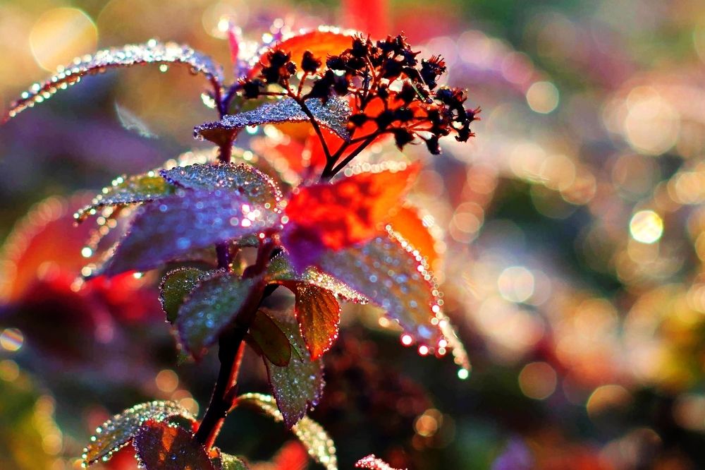 Photograph by Alexandr Bushmelev