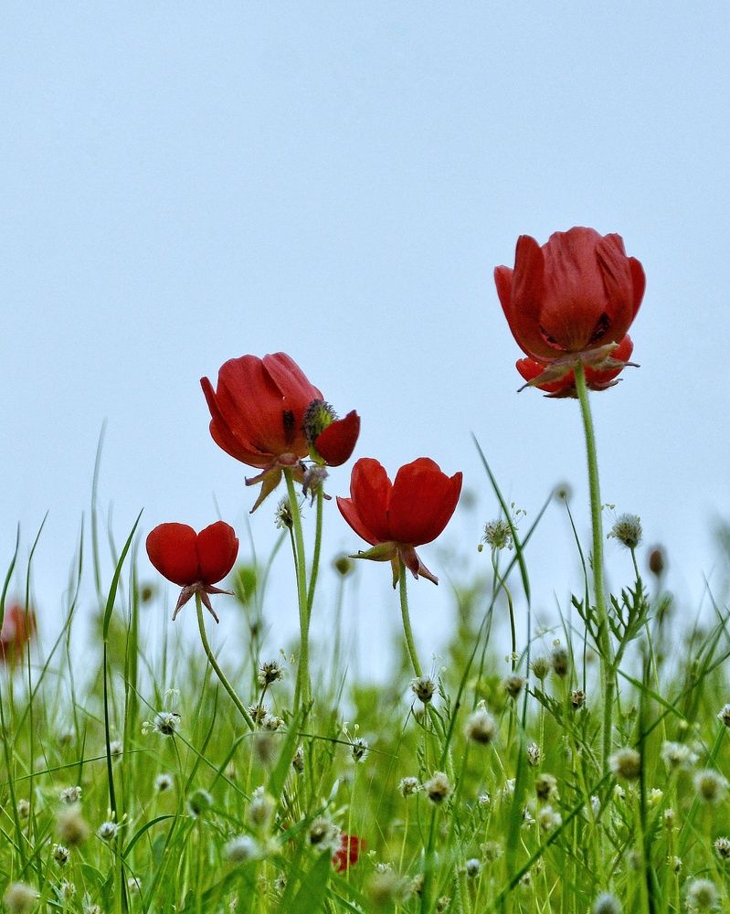 Photograph by Amin Golestanipour