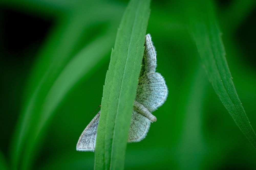 Photograph by Maksim Zhdanovich