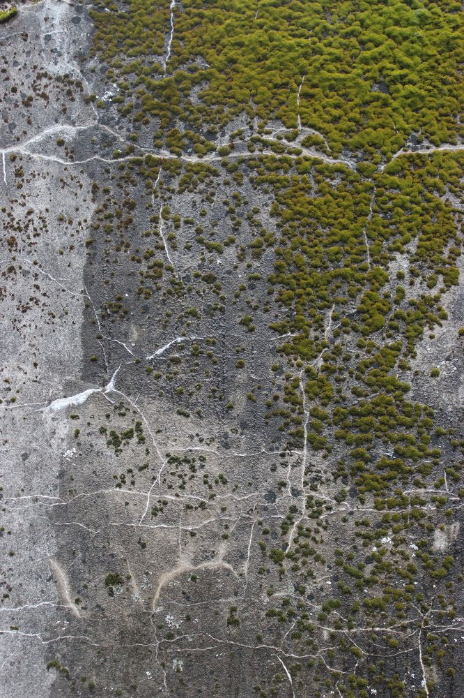 Photograph by Anastasia Kodatenko