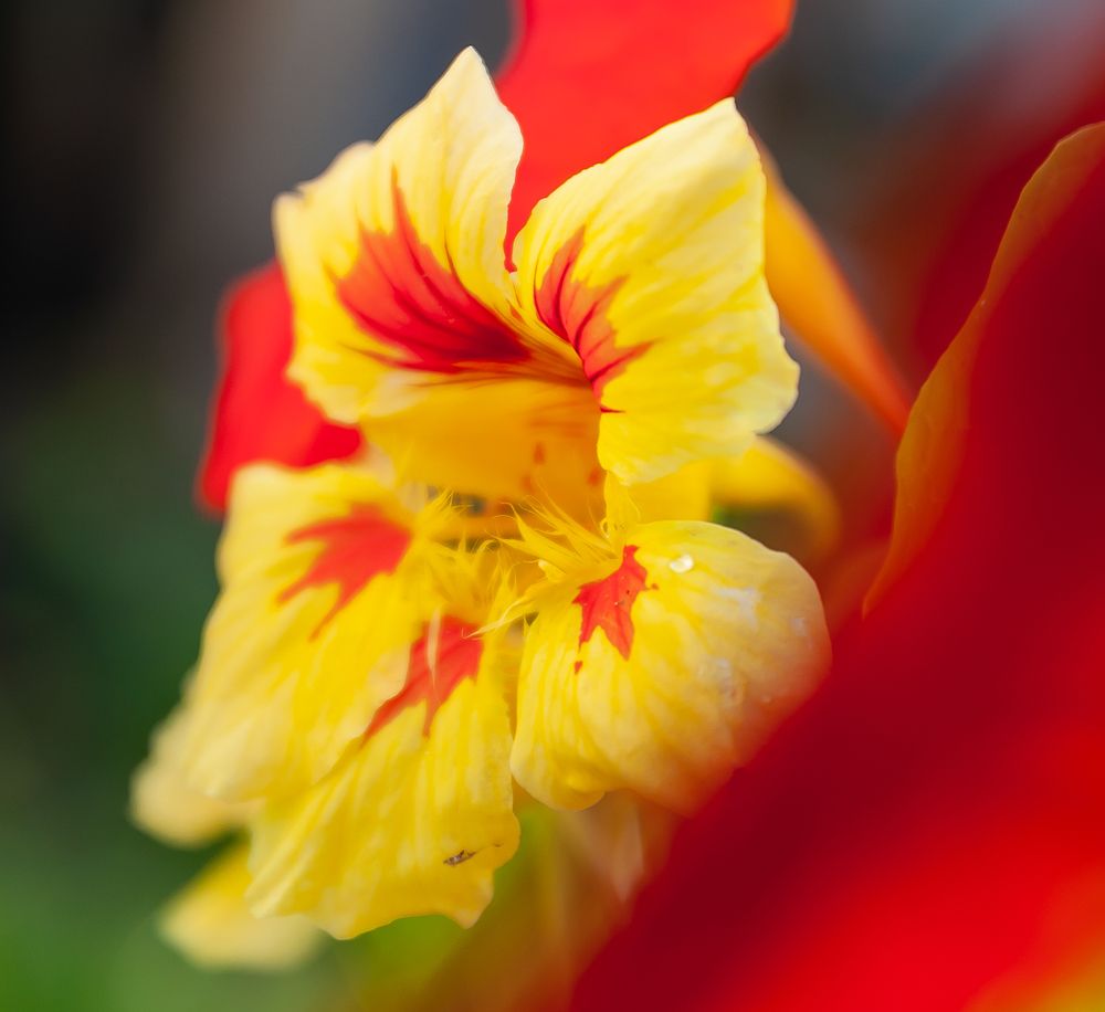 Photograph by Олег Анатольевич Загорулько