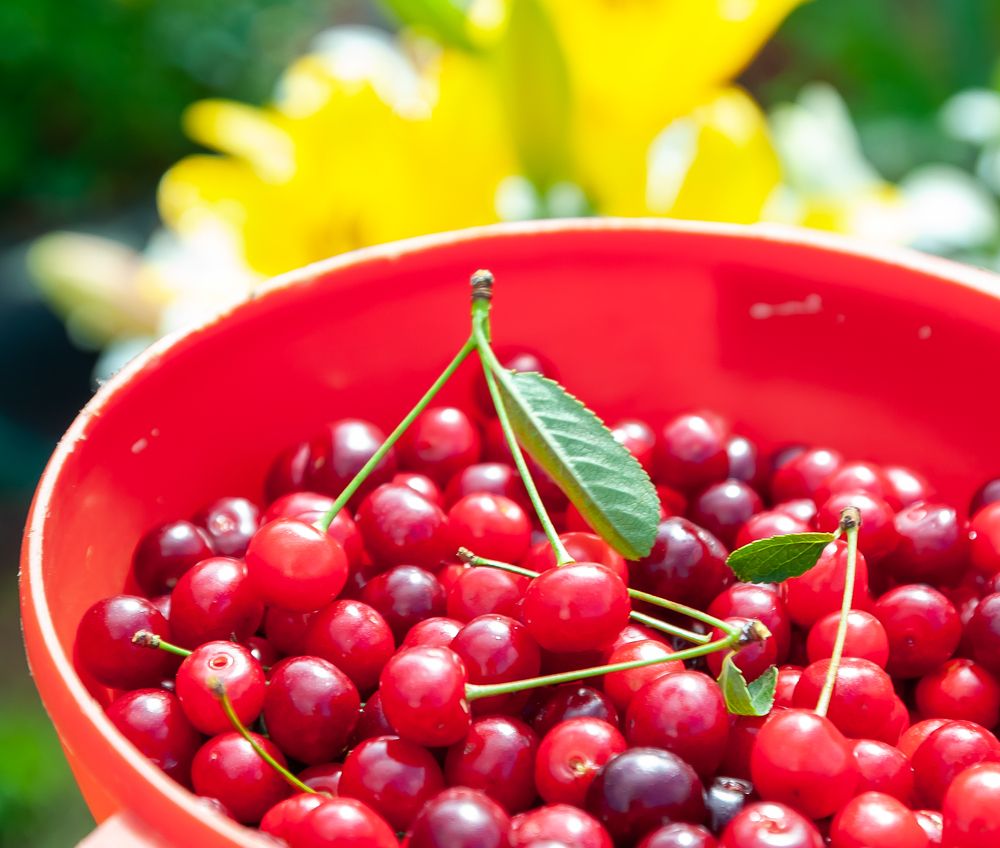 Фотография автора Олег Анатольевич Загорулько