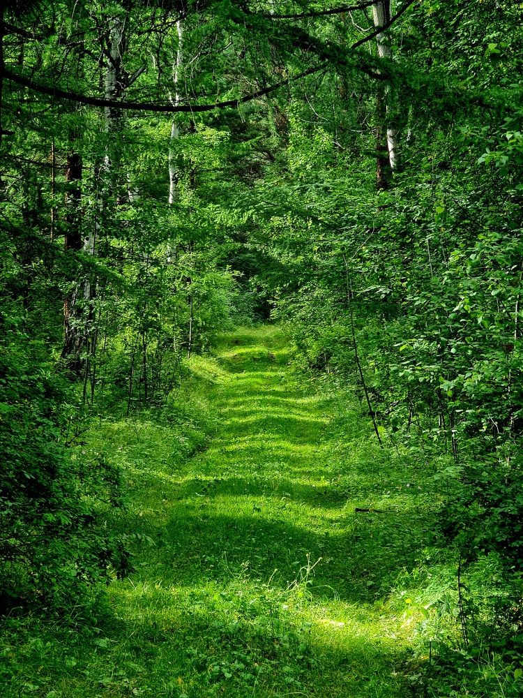 Photograph by Алексей Миронов