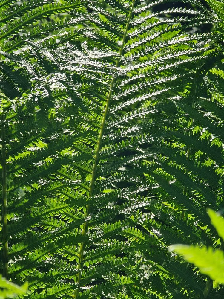 Photograph by Алексей Миронов