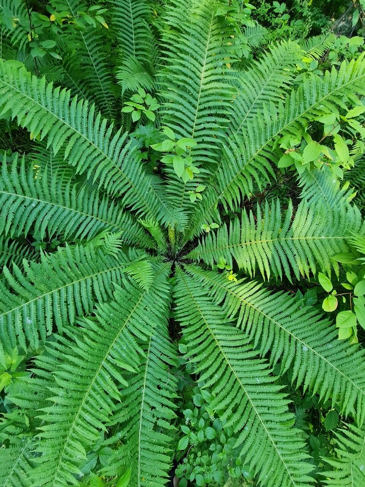 Photograph by Алексей Миронов