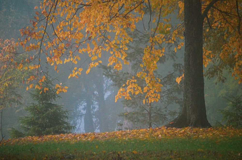 Photograph by Дарья Маркина