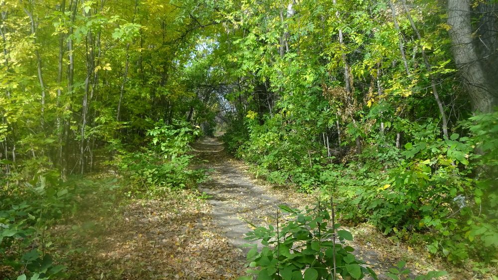 Photograph by Елена Мясникова