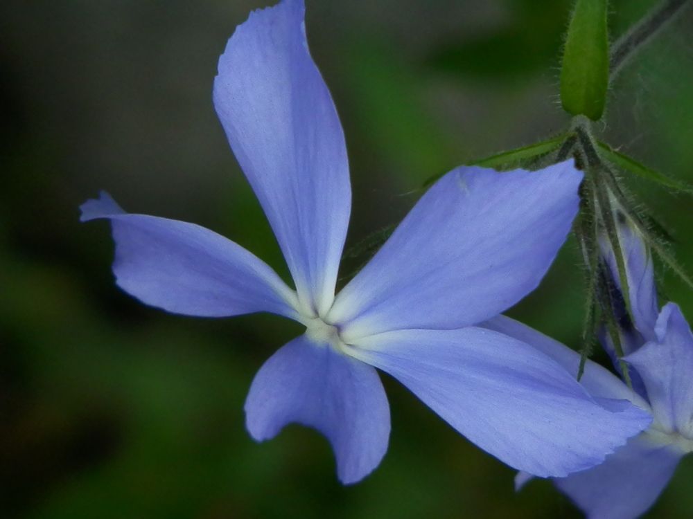 Photograph by Георгий Салюков