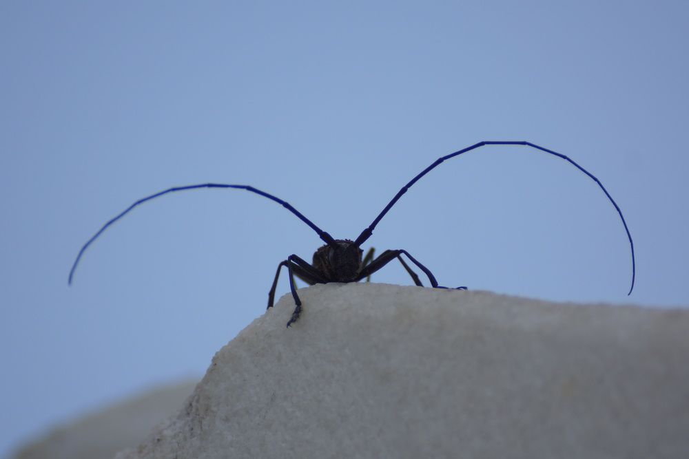 Photograph by Алексей Миронов