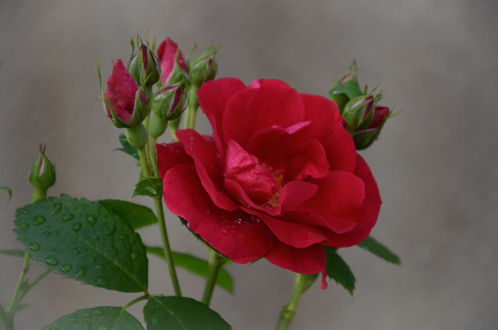 Photograph by Елена Сырцева