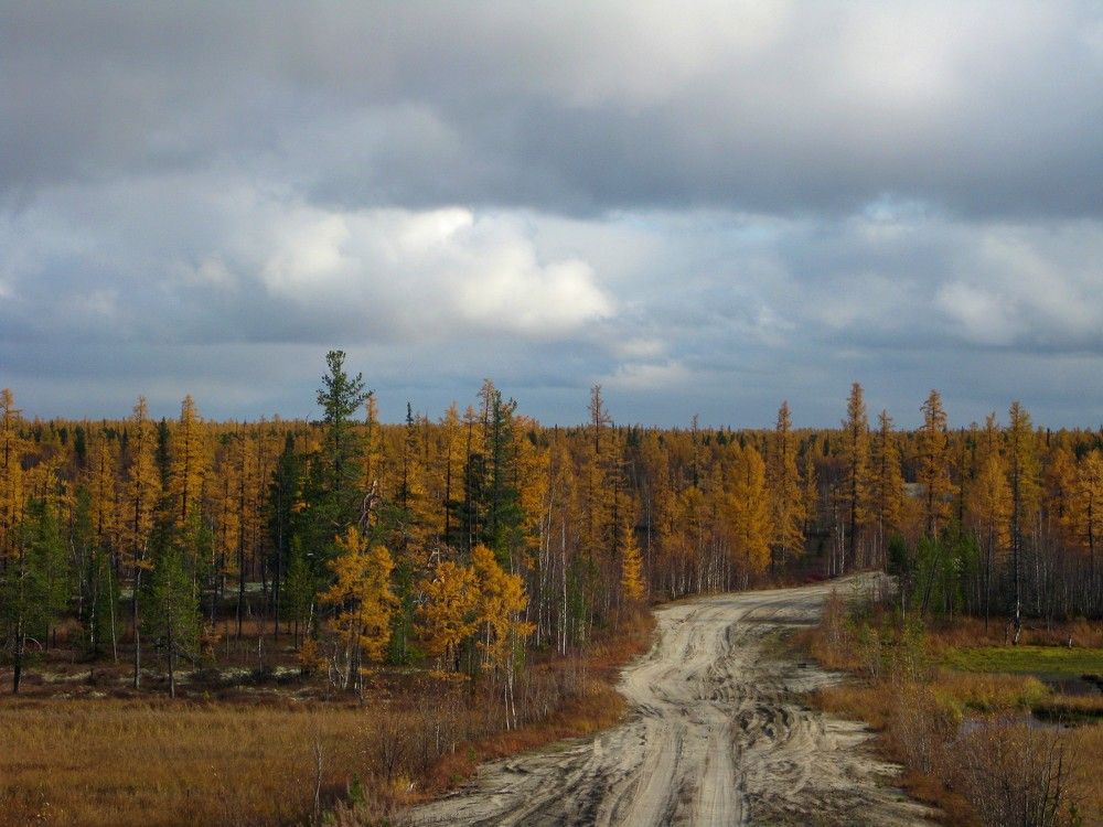 Фотография автора Марина Горбулина