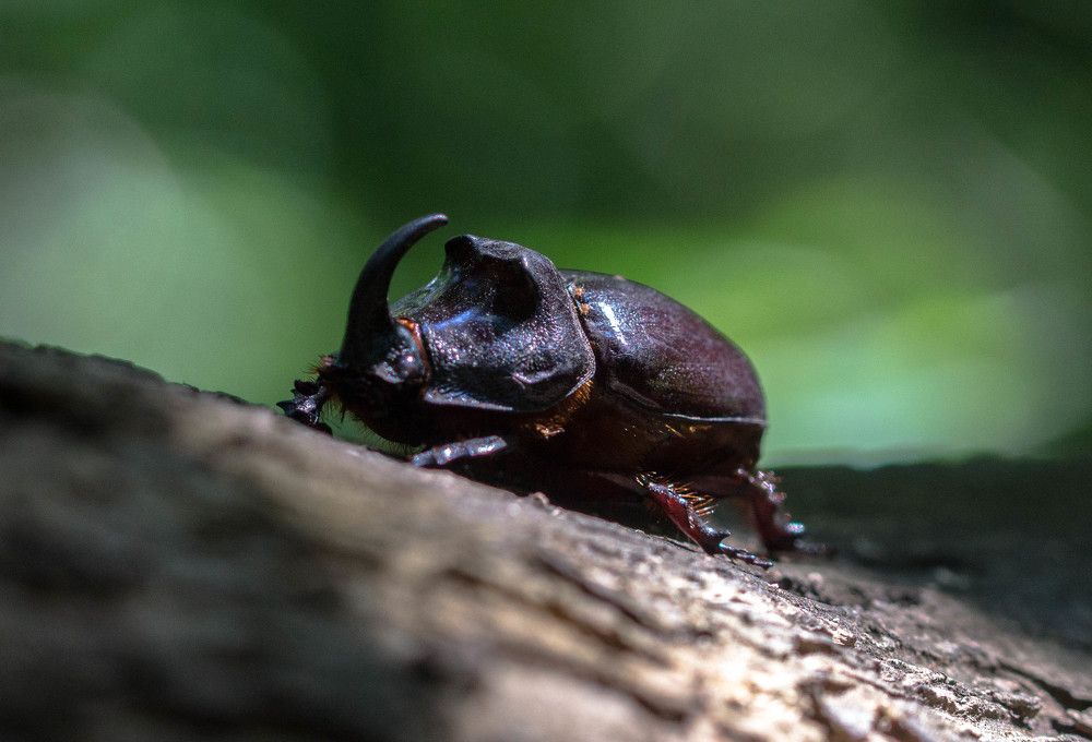 Photograph by Елена Гольдебаева