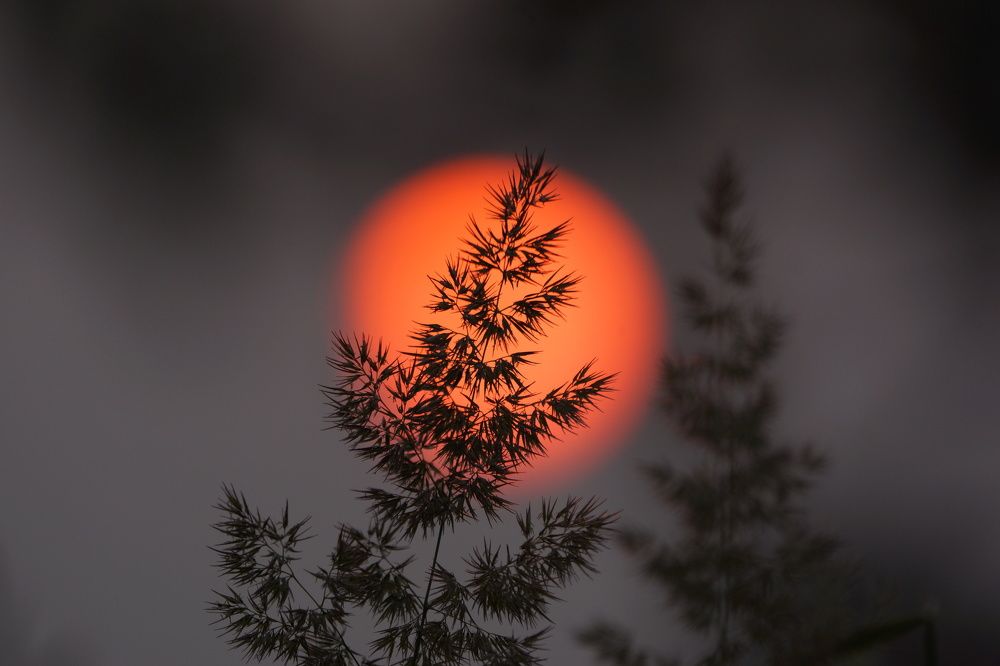 Photograph by Алексей Миронов