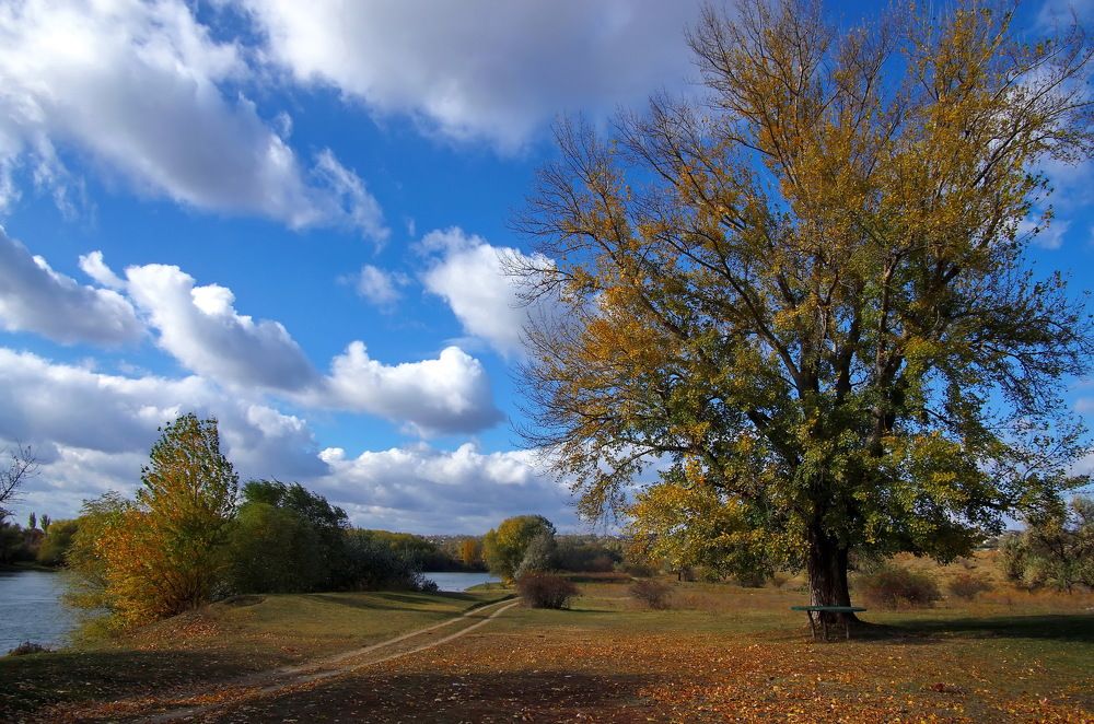 Photograph by Анатолий Святой