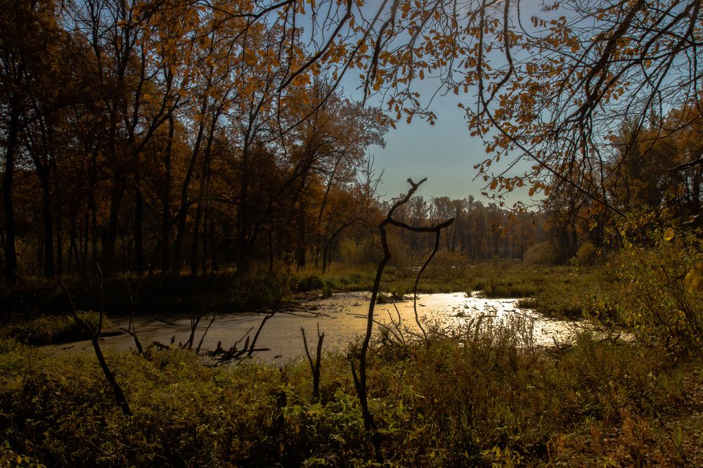 Photograph by Елена Гольдебаева