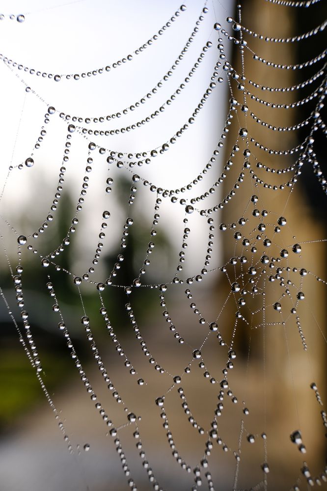 Фотография автора Александр Высоцкий