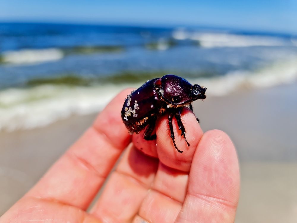 Photograph by Алексей Миронов