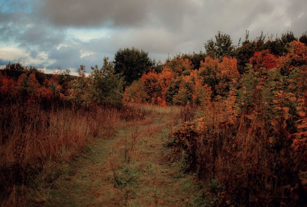 Photograph by Ольга Гаврилова