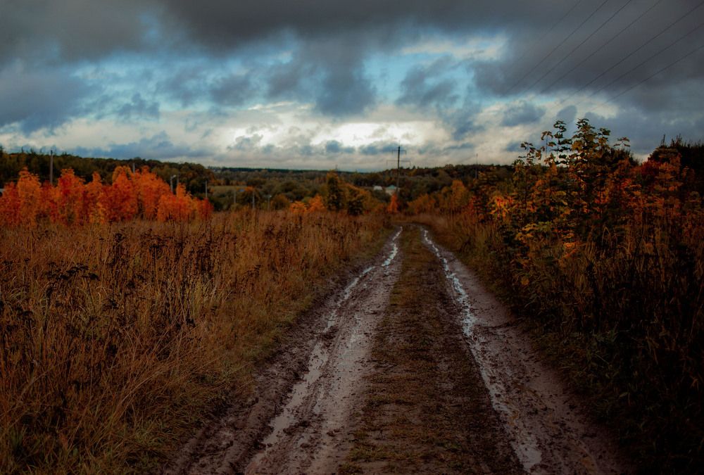 Photograph by Ольга Гаврилова