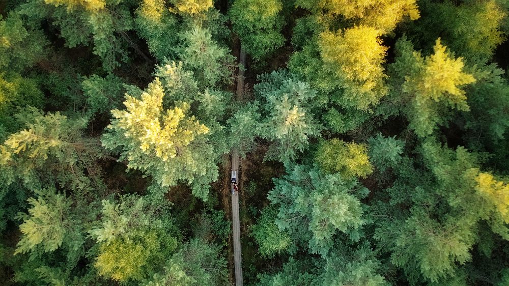 Фотография автора Яна Романова