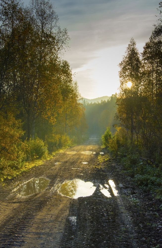 Photograph by Михаил Лавренков