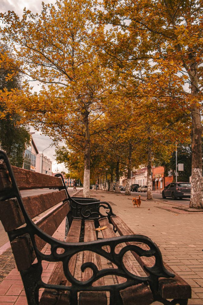 Photograph by Алексей Марченков