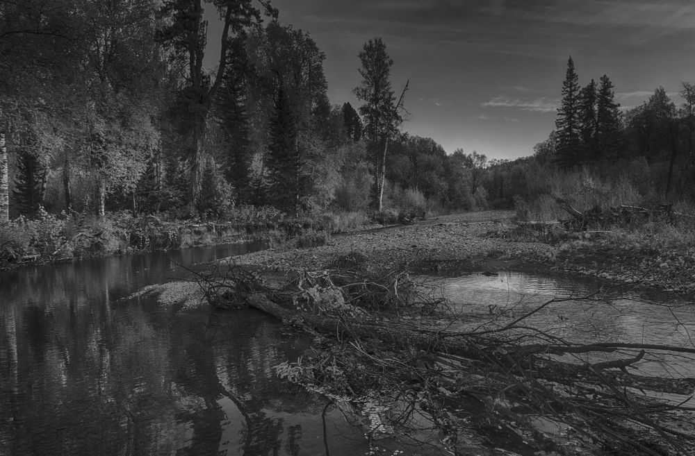 Photograph by Михаил Лавренков