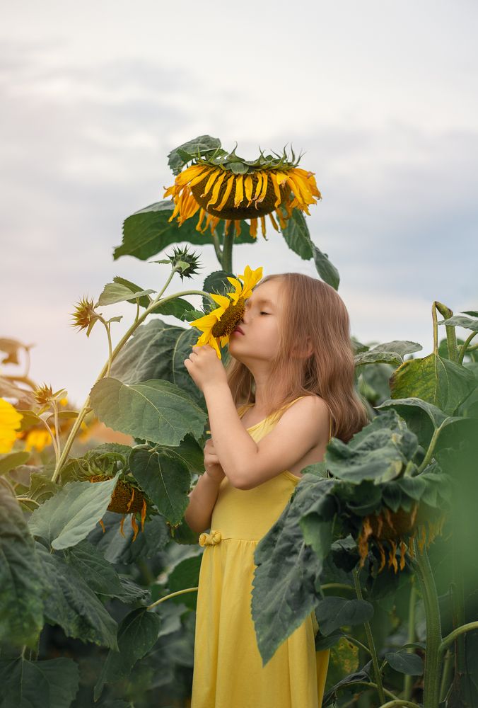 Фотография автора Алёна Подгорная