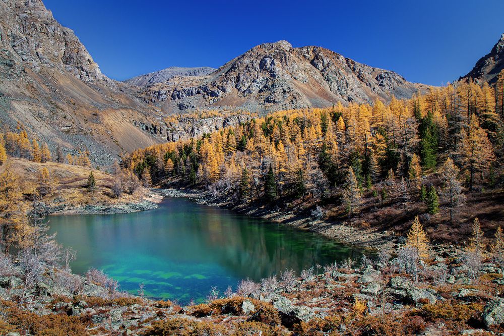 Photograph by Морозов Сергей