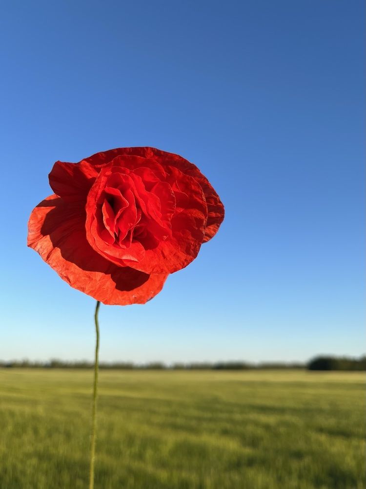 Photograph by Екатерина Валиуллина