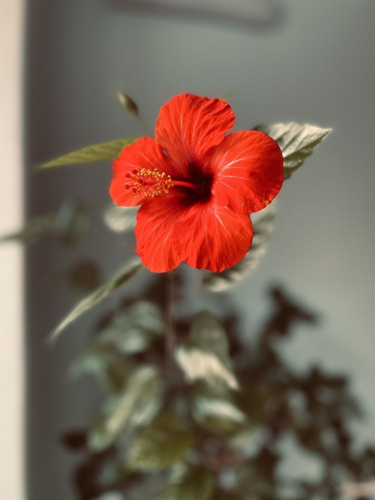 Photograph by Екатерина Валиуллина