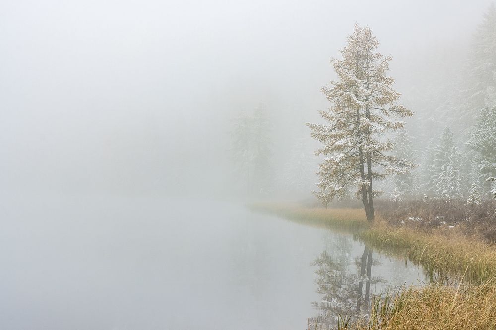 Photograph by Морозов Сергей