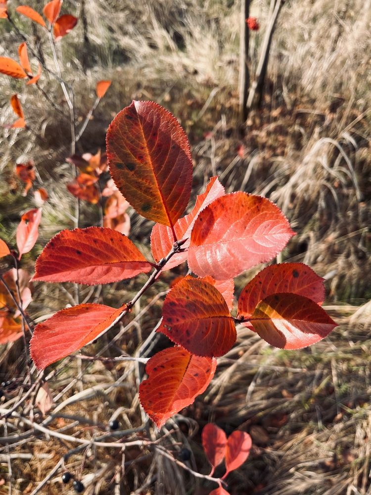 Photograph by Екатерина Валиуллина