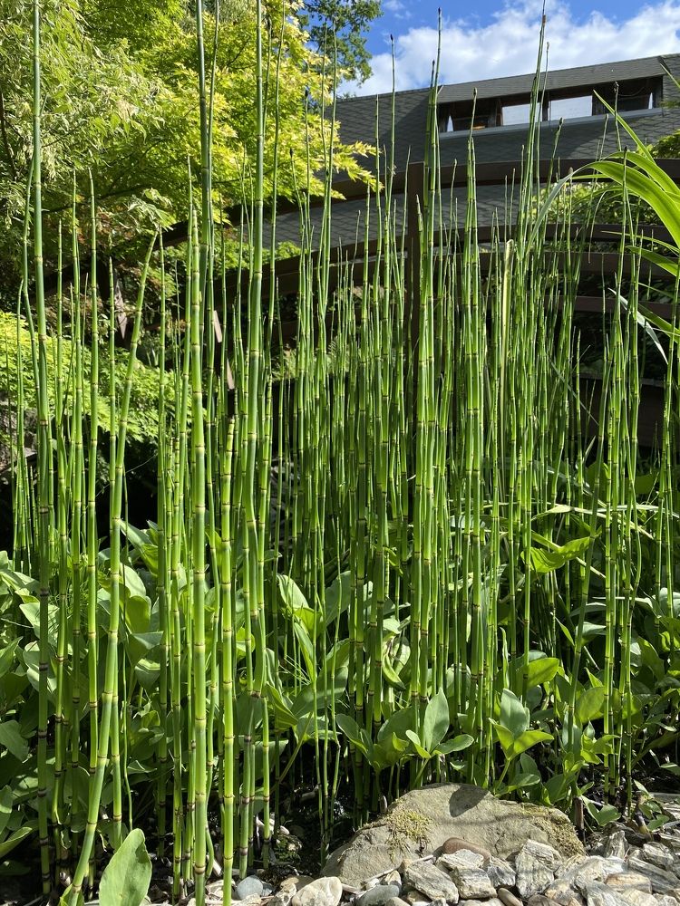 Photograph by Ольга Левенец