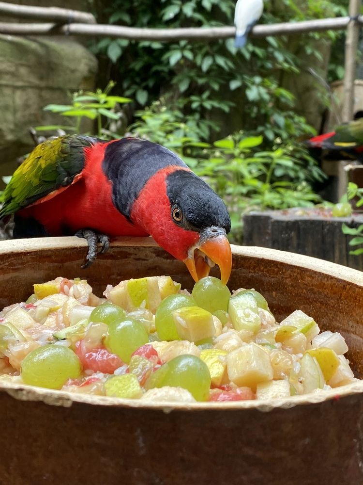 Photograph by Ольга Левенец