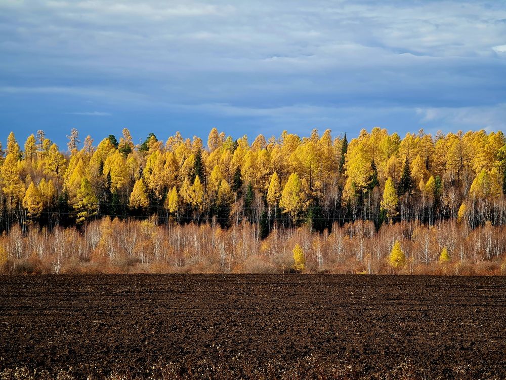 Photograph by Алексей Миронов
