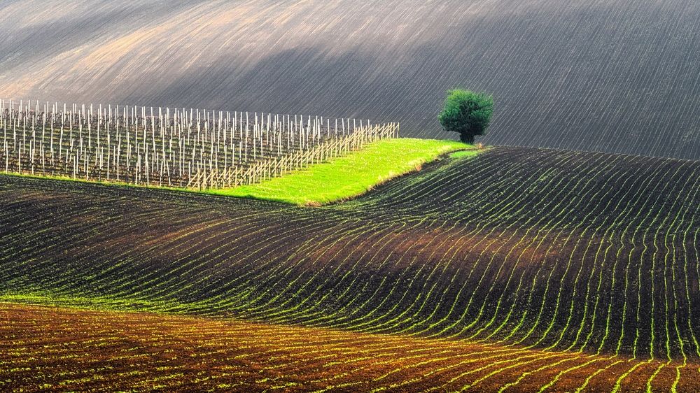 Photograph by Adrian Adi Gli